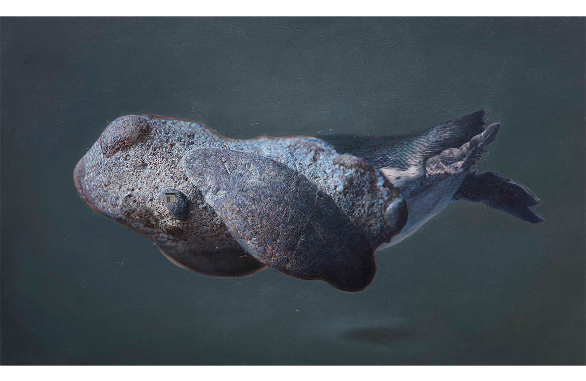 傅浩轩 
北极匿声
2015
油彩画布 
97×162cm

 