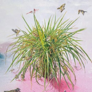 Chang Tsui-Jung   2015 postcard