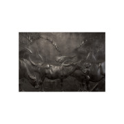 masters_postcard1