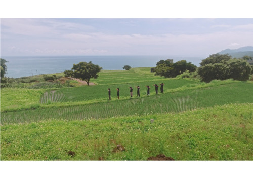 許家維_岩棺是不是棺